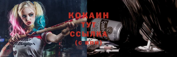 шишки Балабаново