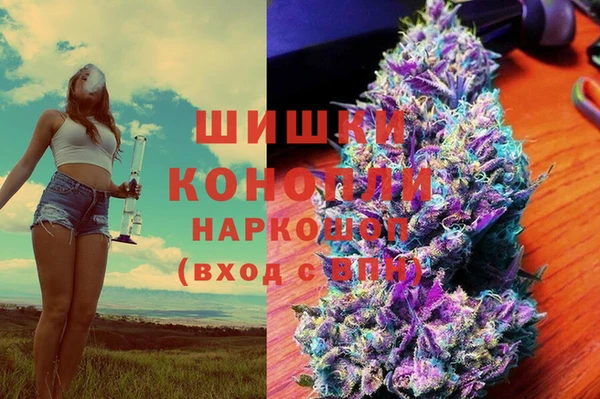 шишки Балабаново