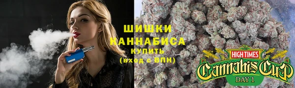 шишки Балабаново