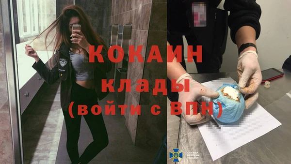 шишки Балабаново
