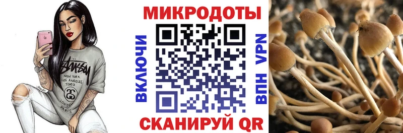 Псилоцибиновые грибы мицелий Сердобск